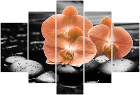 Tablou - Orhidee portocalii (150x105 cm)