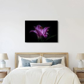Tablou crinul (90x60 cm)
