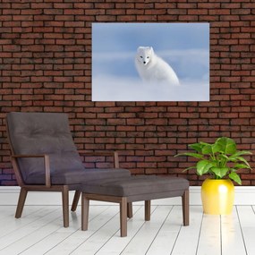 Tablou - Vulpe polară (90x60 cm)