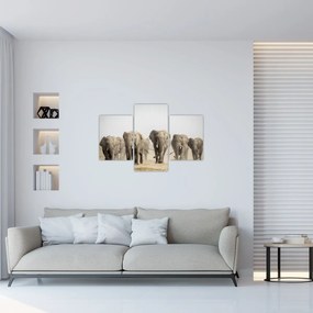 Tablou - Turmă de elefanți (90x60 cm)