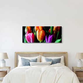 Tablou -Lalele pe fond negru (120x50 cm)