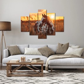 Tablou - Cal la Apus (150x105 cm)