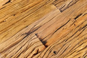 Masuta de cafea, Lemn de Tec, Sticla, Otel Crom, MODERN BAROCK BARRACUDA 100cm