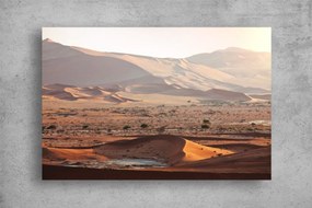Tablou Canvas - Copacii singuratici din desert