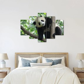Tablou - Panda in copac (150x105 cm)