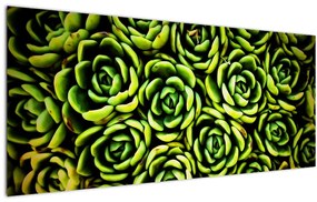 Tablou cu flori de piatră (120x50 cm)