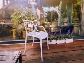 Set 4 bucati scaune din plastic KATO, bej