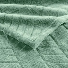 Cuvertură verde-deschis din microflanel 180x220 cm Arya – douceur d'intérieur