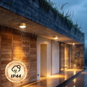 BRILAGI - LED Plafonieră de exterior FORIS LED/20W/230V diam. 15 cm auriu IP44