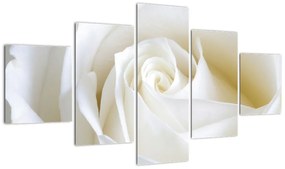 Tablou - trandafiri albi (125x70cm)