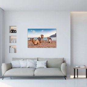 Tablou cu cămile (90x60 cm)