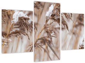 Tablou - Tei (90x60 cm)