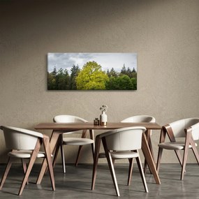 Tablou - Copac verde în câmp (120x50 cm)