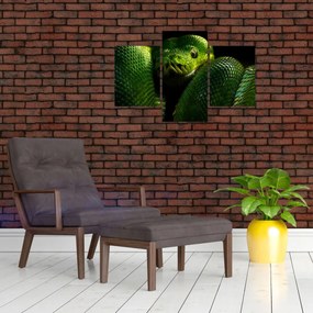 Tablou - Șarpele verde (90x60 cm)