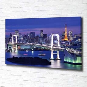 Tablou pe pânză Podul din tokyo