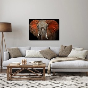 Tablou - Elefanți cu Tsavo (70x50 cm)