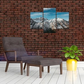 Tablou cu vârfuri înzăpeziți, Fiordland (90x60 cm)