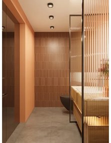 Plafonieră LED pentru baie MAXLIGHT C0204 KODAK LED/8W/230V IP44 negru