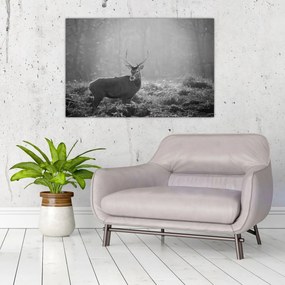 Tablou - Căprioare in pădure,alb-negru (90x60 cm)