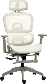 HOMCOM Scaun de birou, scaun ergonomic pentru birou cu acoperire din plasă, reglabil, pe roți, cu cotiere, tetieră, Bej | Aosom Romania