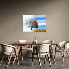 Tablou pe sticlă - Schimbarea anotimpurilor (70x50 cm)