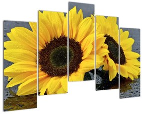 Tablou - floarea-soarelui (125x90cm)