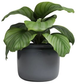 Ghiveci din ceramică făcut manual ø 20 cm Astrea – Artevasi