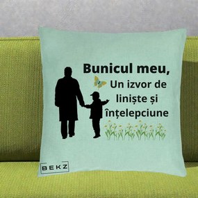 Cadou pentru Bunic - Perna Personalizata Bunicul Meu Izvor de Liniste cu Fluture si Baietel, 40x40 cm, Verde Menta, Husa Detasabila, Perna Inclusa, BEKZ®