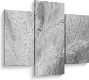 Tablou - Iarbă de pampas N⁰1 (90x60 cm)