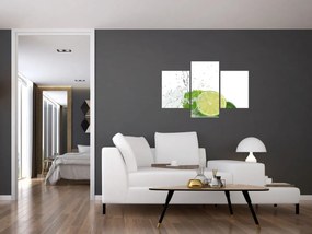 Tablou - Lămâi suculente (90x60 cm)