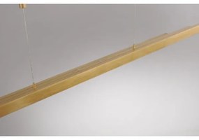 Lustră LED dimabilă pe cablu Paul Neuhaus 2568-60 ADRIANA LED/14W/230V alămie