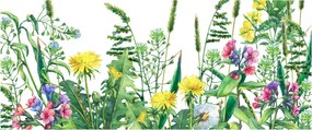 Tablou - Flori de pajiște pictate (120x50 cm)