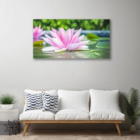 Tablou pe panza canvas Water Flower Art Roz Verde