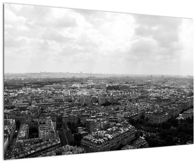 Tablou - Acoperișuri clădirilor din Paris (90x60 cm)