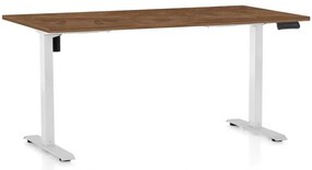 Masă înălțime reglabilă OfficeTech B, 160 x 80 cm, picioare albe, stejar silverjack