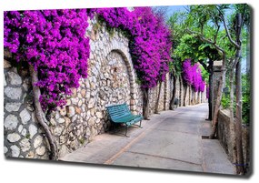 Print pe canvas Străzi fermecătoare