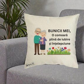 Cadou pentru Bunici - Perna Personalizata Bunicii Mei Comoara Cuplu Senior cu Flori Colorat, 40x40 cm, Ecru, Husa Detasabila, Perna Inclusa, BEKZ®