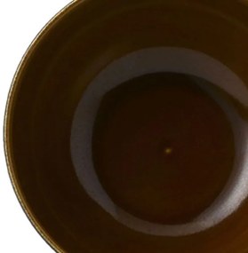 Bol Noodles termorezistent (exterior Negru) 800ml Nomad