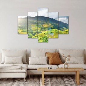 Tablou plantație (150x105 cm)