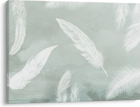 Tablou - Pene albe (70x50 cm)