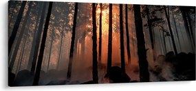 Tablou cu pădure întunecată (120x50 cm)