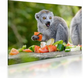 Tablou pe sticlă cu lemur (70x50 cm)