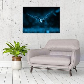 Tablou pe sticlă cu bufnița zburând (70x50 cm)
