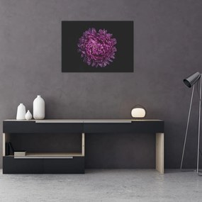 Tablou cu floare violetă (70x50 cm), în 40 de alte dimensiuni noi