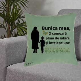 Cadou pentru Bunica - Perna Personalizata Bunica Mea Comoara cu Fluture si Baietel, 40x40 cm, Verde, Husa Detasabila, Perna Inclusa, BEKZ®