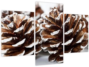 Tablou - Gogoși (90x60 cm)