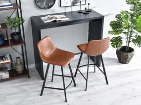Scaun Gina (maro + negru). 1110689