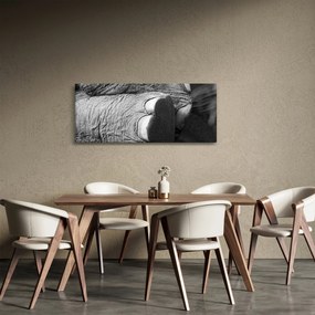 Tablou - Picior de elefant (120x50 cm)