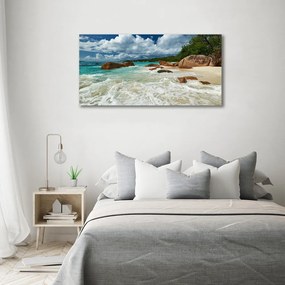 Pictură pe pânză Plaja seychelles