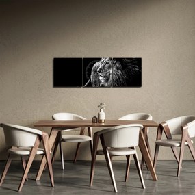 Tablou - Leu, alb și negru (cu ceas) (90x30 cm)